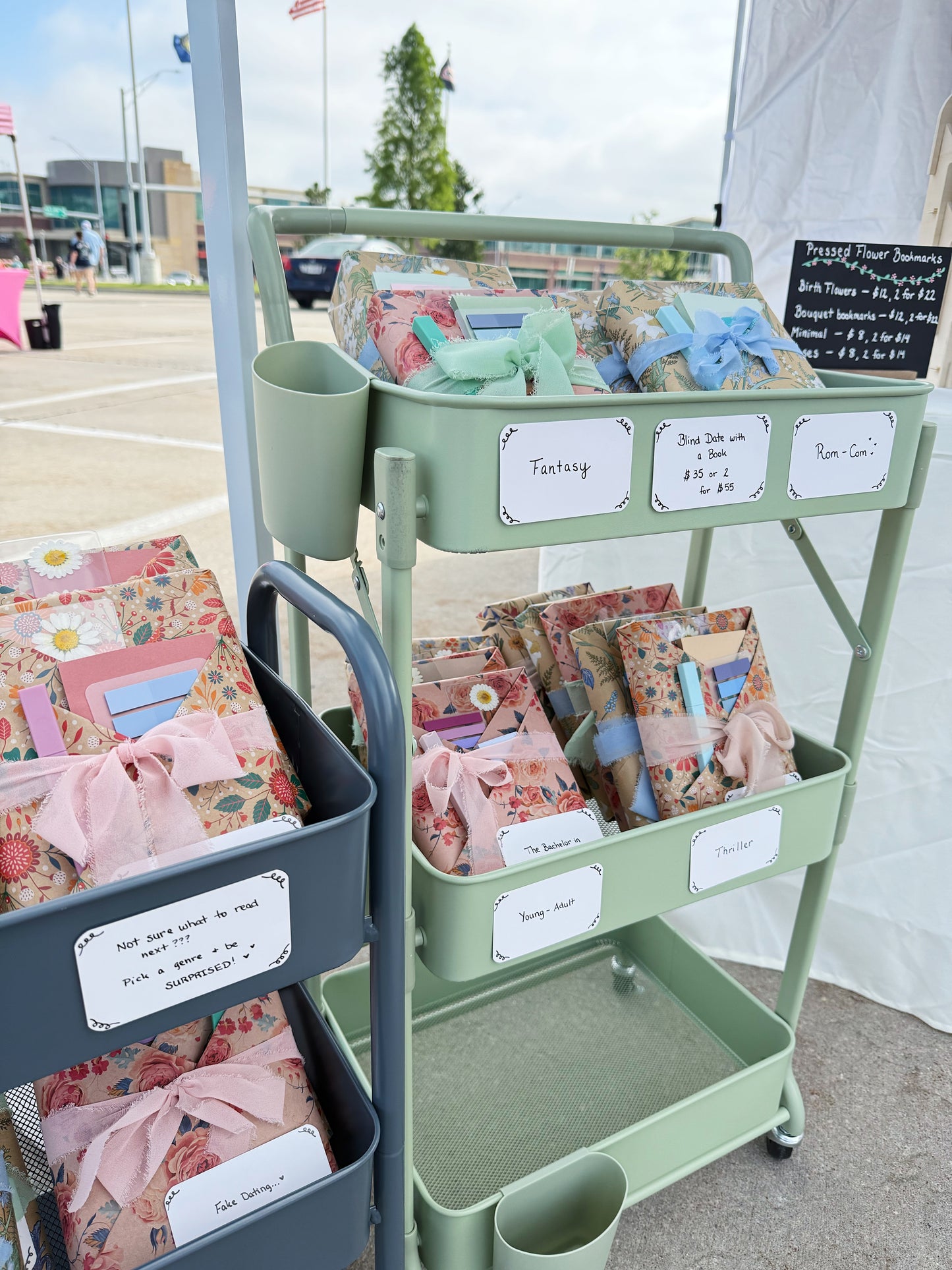 blind date with a book