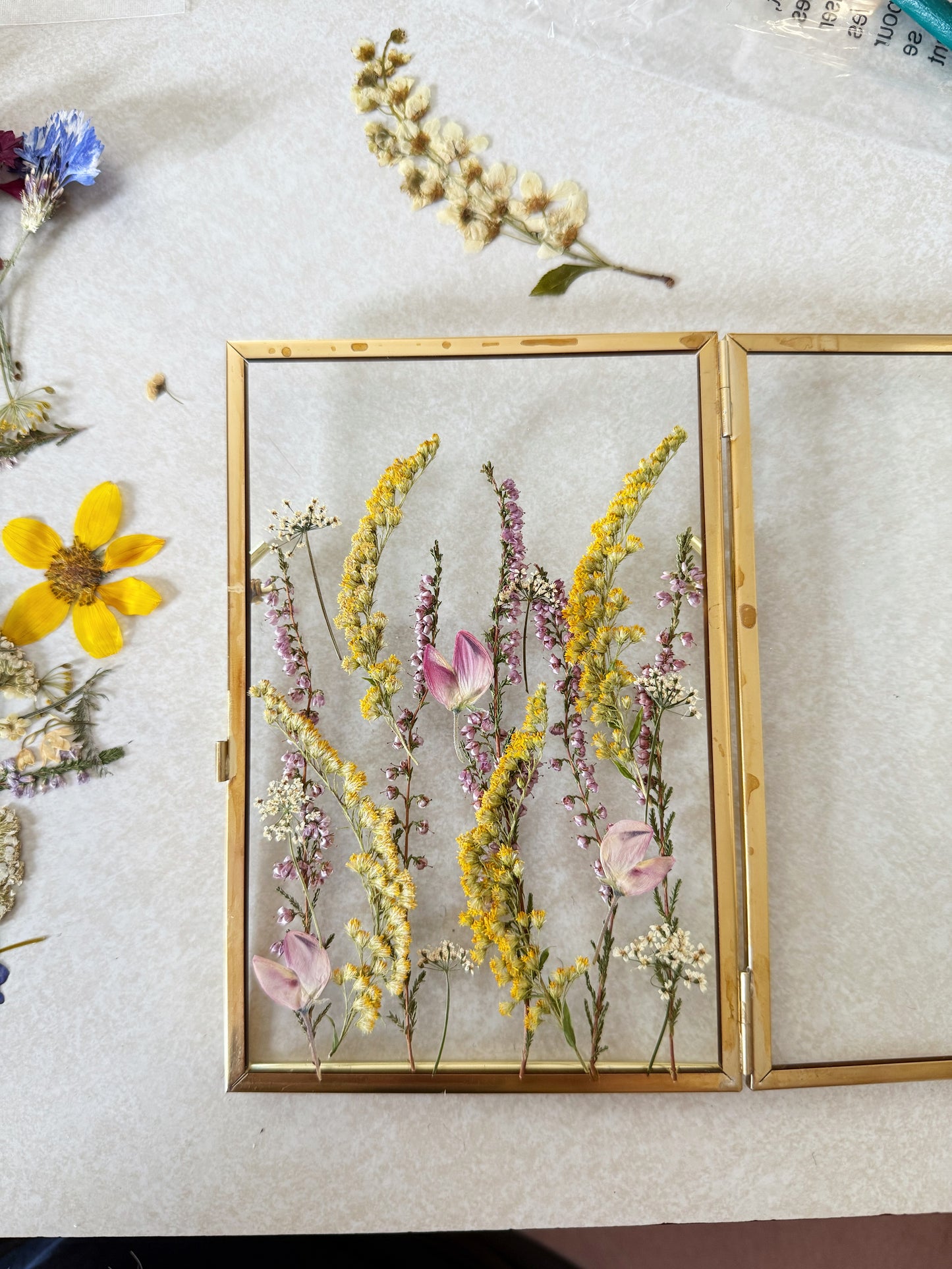 Pressed Flower Frame & Bookmark Workshop