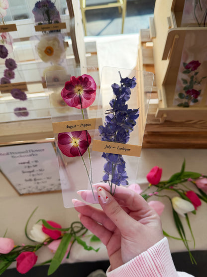 Pressed Flower Frame & Bookmark Workshop