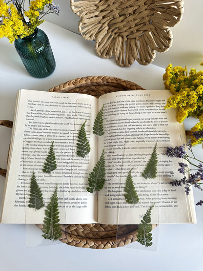 forest ferns bookmark