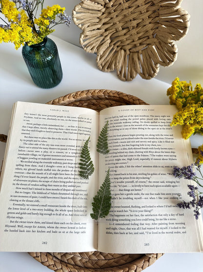forest ferns bookmark