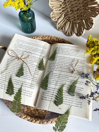 forest ferns bookmark