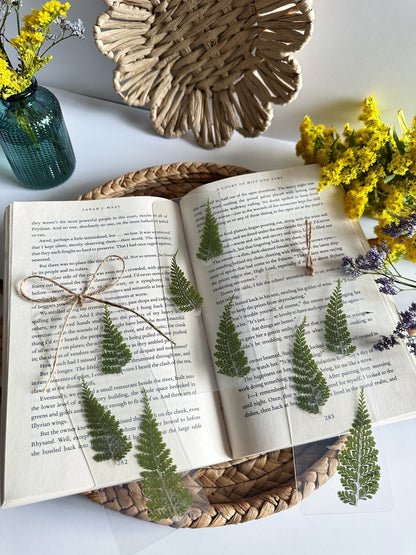 forest ferns bookmark
