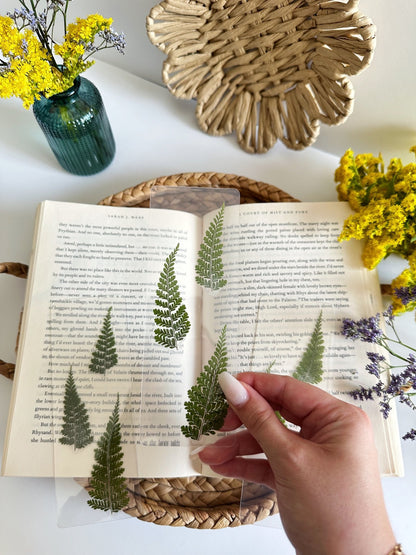 forest ferns bookmark