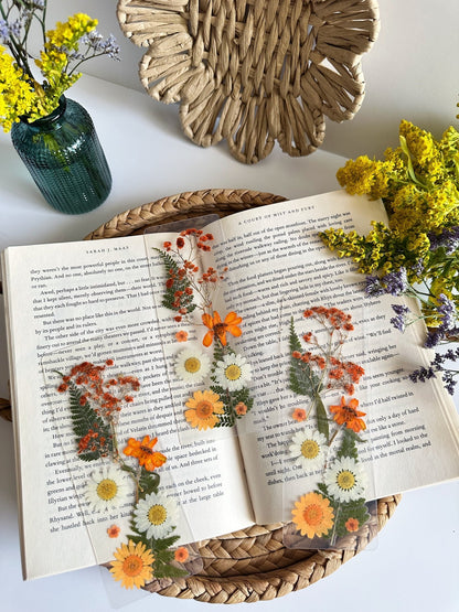 orange sunsets bookmark