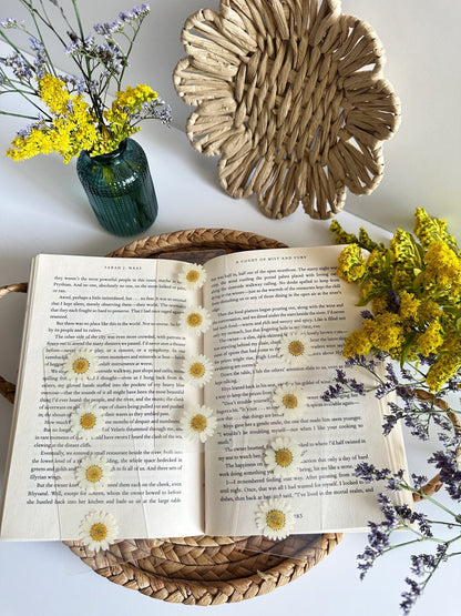 daisies for days bookmark