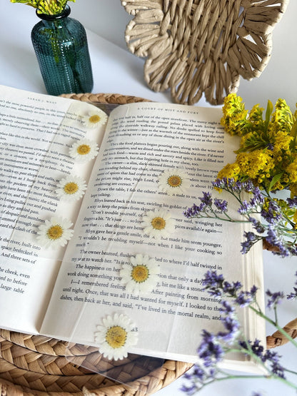 daisies for days bookmark