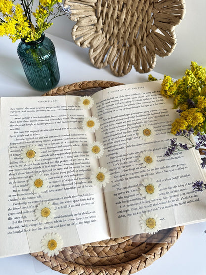 daisies for days bookmark