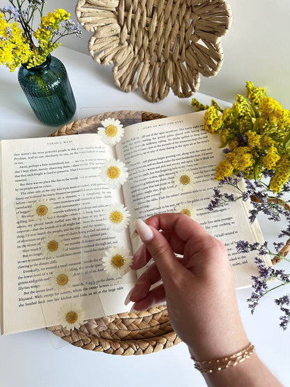 daisies for days bookmark