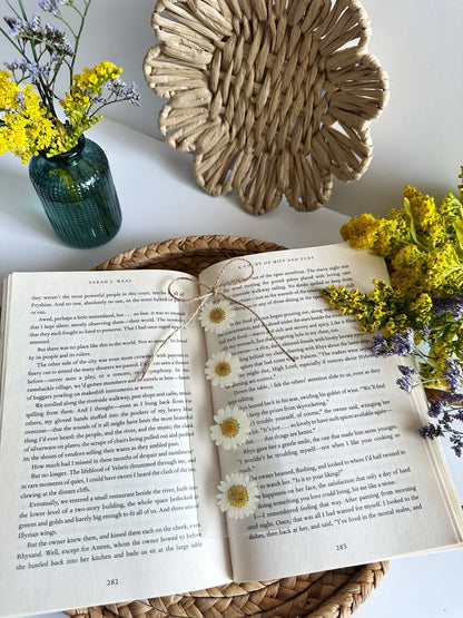 daisies for days bookmark